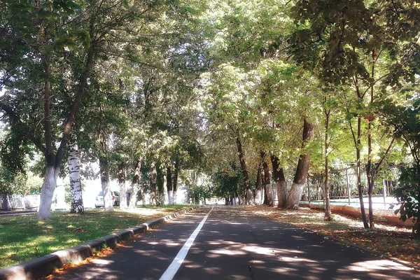 Podzim Německu City Park Evropě Německo Podzimní Krajina — Stock fotografie