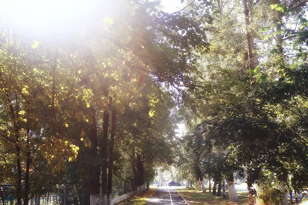 Podzim Německu City Park Evropě Německo Podzimní Krajina — Stock fotografie