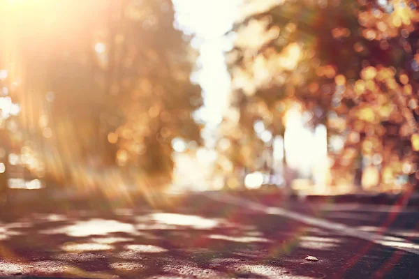 Schilderachtige Bos Landschap Zonnige Herfstdag Indian Summer — Stockfoto