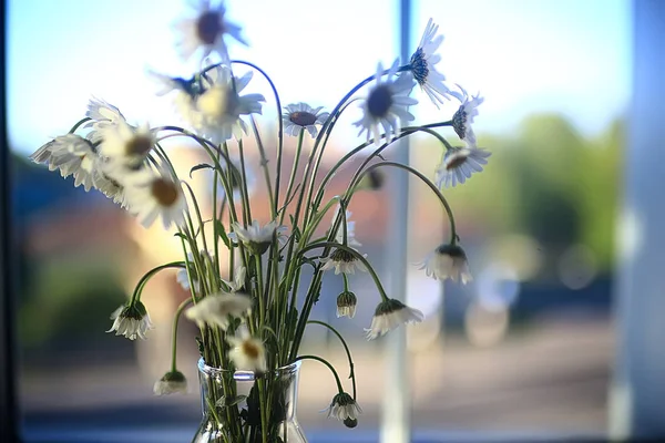 Bouquet Chamomiles Vase Fresh Spring Bouquet Wildflowers — Stock Photo, Image