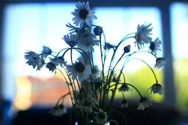 野生の花の新鮮な春のブーケの花瓶の花束 — ストック写真