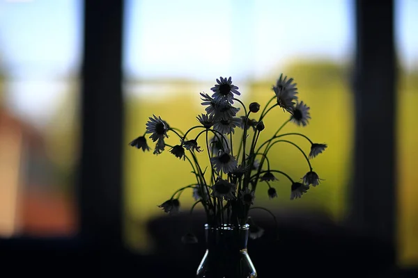 Buquê Camomilas Vaso Buquê Primavera Fresco Flores Silvestres — Fotografia de Stock