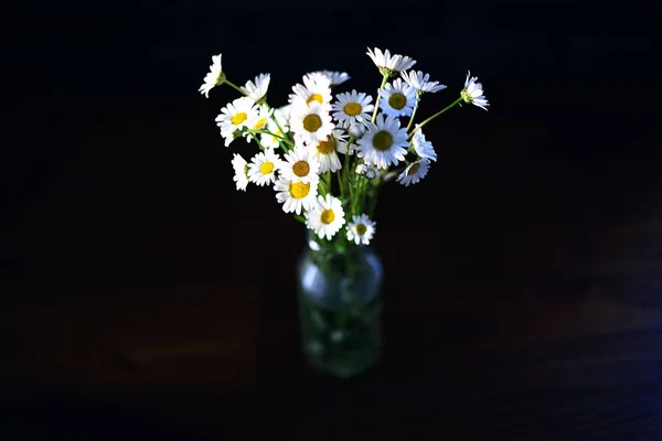 野生の花の新鮮な春のブーケの花瓶の花束 — ストック写真