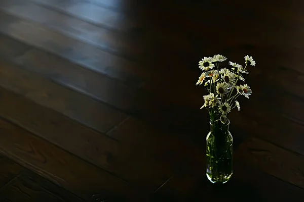 Chamomiles Bir Vazoda Kır Çiçekleri Taze Bahar Buket Buket — Stok fotoğraf