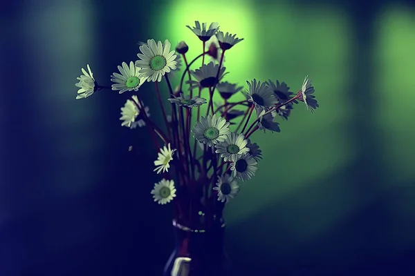 Chamomiles 在花瓶里 鲜花盛开的春天花束 — 图库照片