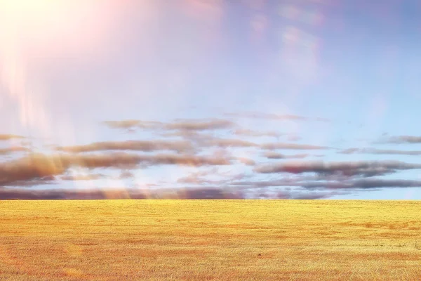 Campo Corte Paisagem Outono — Fotografia de Stock