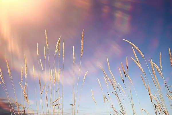 Campo Falciatura Paesaggio Autunnale — Foto Stock