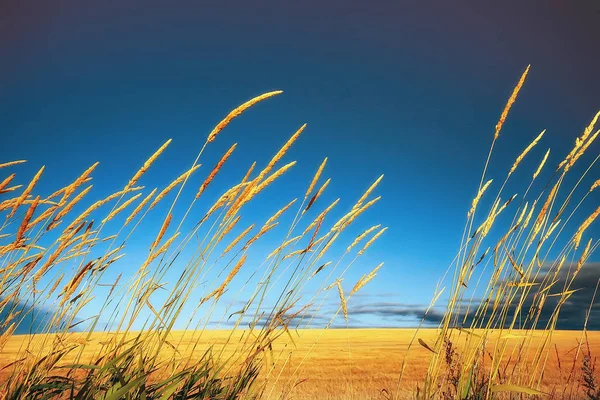 Maaien Veld Herfst Landschap — Stockfoto