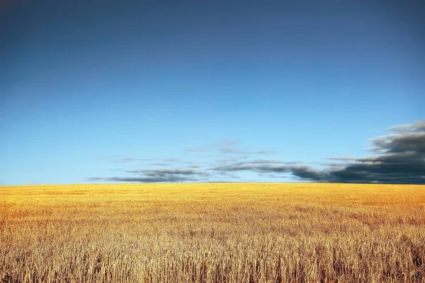 Sečení Pole Podzimní Krajina — Stock fotografie