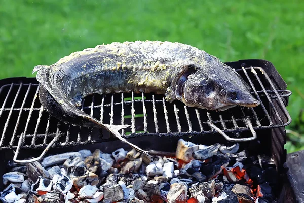 Esturjão Peixe Cozido Grelha Com Fumaça Esterco Fumado — Fotografia de Stock