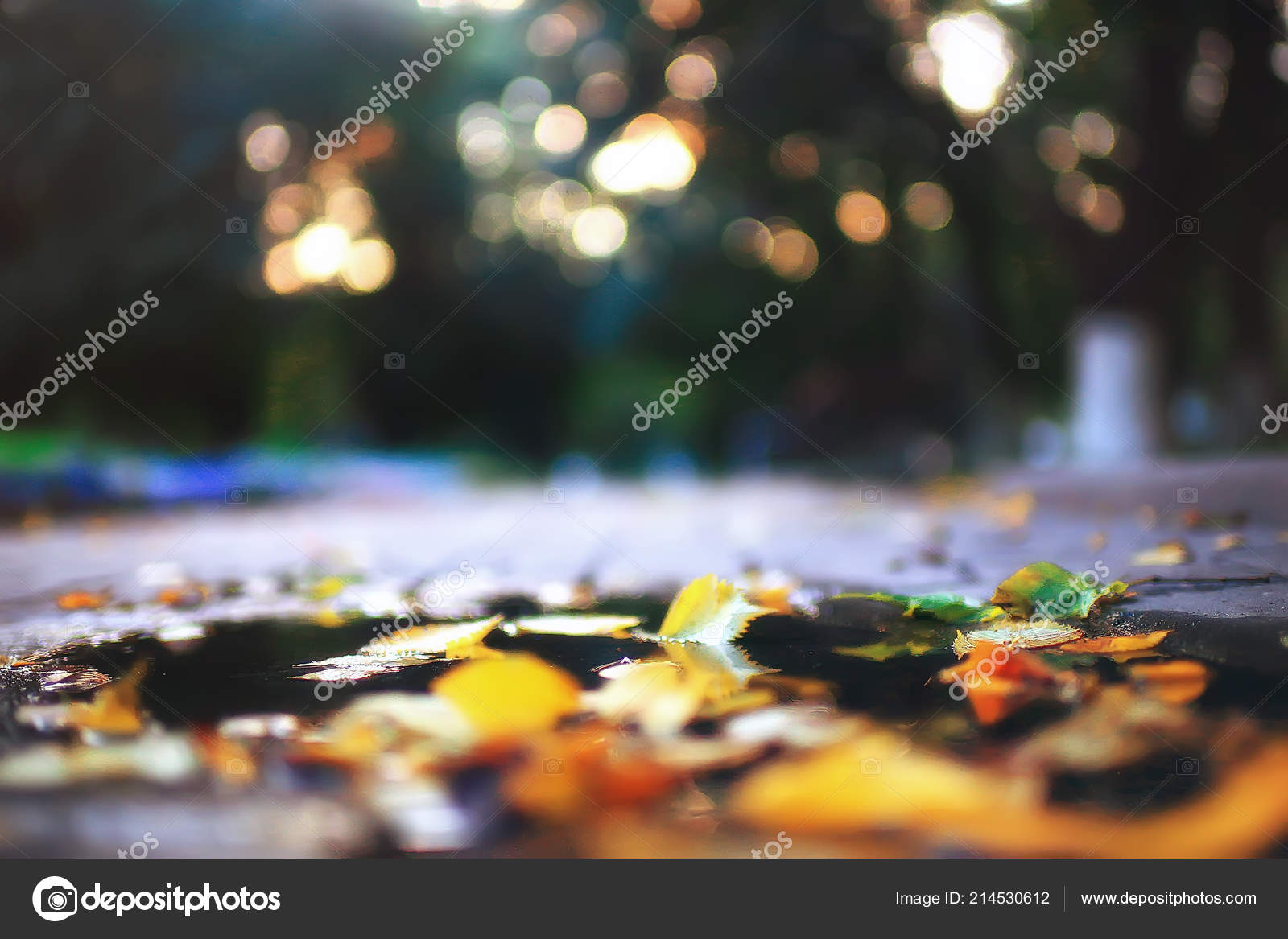 落下的黄色叶子背景模糊的黄色秋天背景与叶子在地面印度夏天10月叶子 图库照片 C Xload