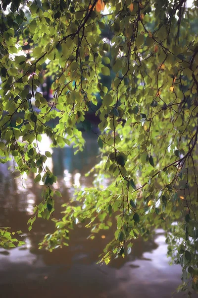 秋天在德国或城市公园在欧洲 德国秋天风景 — 图库照片