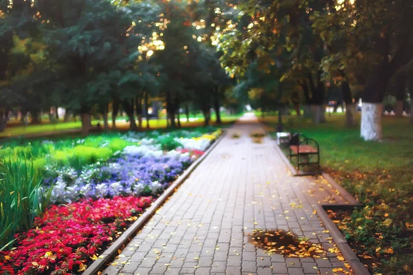 Autumn Germany City Park Europe Germany Autumn Landscape — Stock Photo, Image