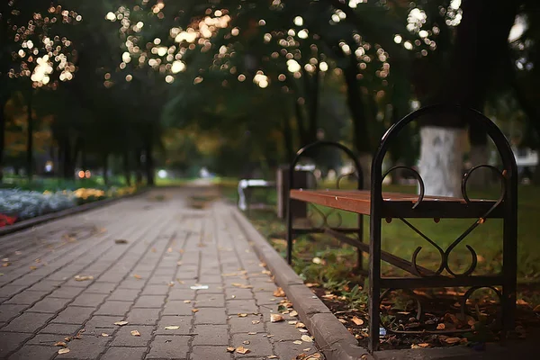 Höstlandskap Gult Träd Höst Park Ljusa Orange Skog — Stockfoto