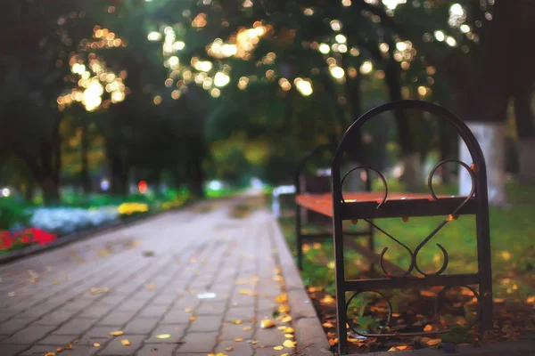 秋天胡同在公园 秋天步行在城市公园 单独周末 黄叶树与树枝间的平静与秋清新概念 — 图库照片