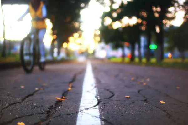 沿秋森林的沥青道路 特写镜头 — 图库照片