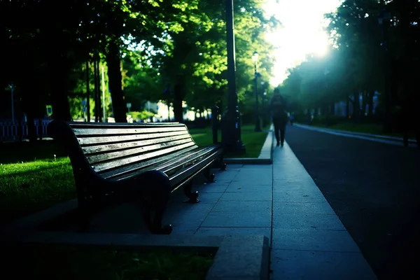 Ősz Parkban Szezonális Városképet Sárga Fák Megtekintése — Stock Fotó