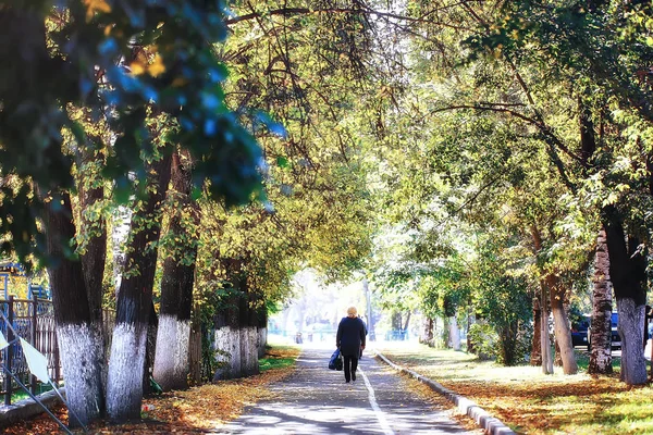 Жовтневий Пейзаж Осінь Парку Жовті Жовті Дерева Алея Осінньому Пейзажі — стокове фото