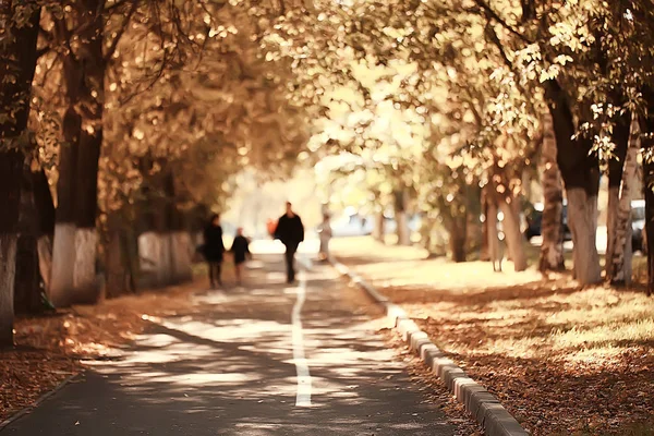 October Landscape Autumn Park Yellow October Trees Alley Autumn Landscape — Stock Photo, Image