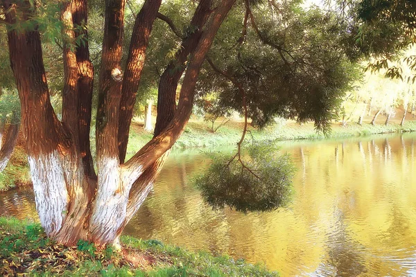 黄色の木公園の湖と素晴らしい秋風景 — ストック写真