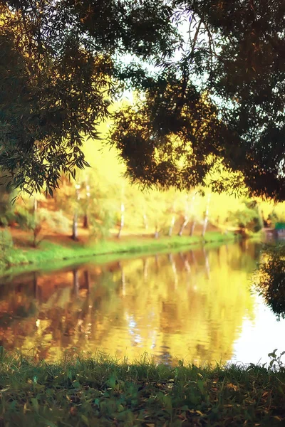 Amazing Autumn Landscape Yellow Trees Lake Park — Stock Photo, Image