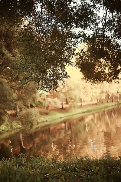 Niesamowity Krajobraz Jesień Żółty Drzew Jezioro Parku — Zdjęcie stockowe