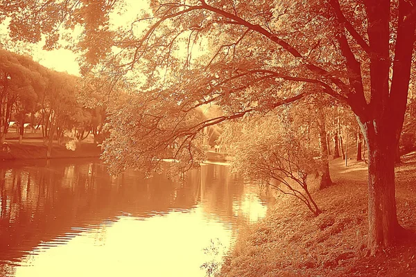 Сепія Краєвид Осінній Парк Монохромні Зображення Дерев Алея Міському Парку — стокове фото