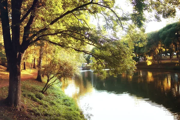 Paisagem Incrível Outono Com Árvores Amarelas Lago Parque — Fotografia de Stock