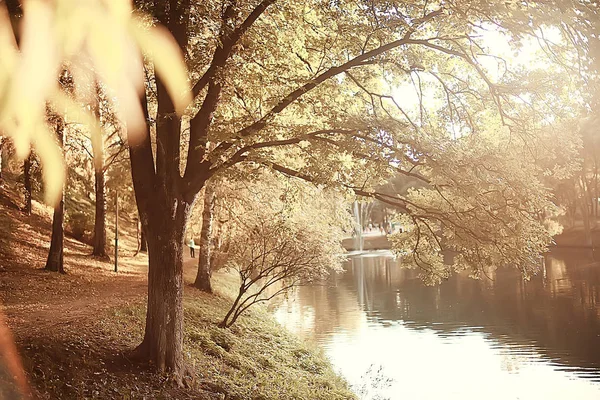 Staw Parku Jesień Krajobraz Nad Wodą Lesie Jesienią Refleksje Jesieni — Zdjęcie stockowe