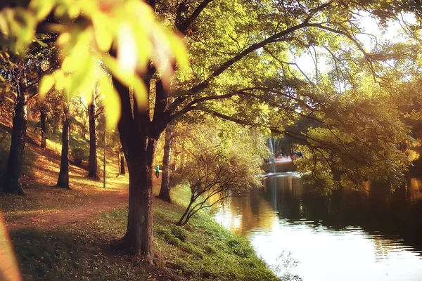 Pastırma Yazı Sarı Orman Ağaçları Güneş Işınları Güzel Manzara — Stok fotoğraf