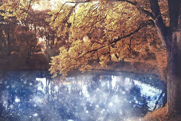 Estanque Parque Paisaje Otoñal Junto Agua Bosque Otoñal Reflejos Árboles —  Fotos de Stock