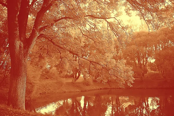 Sepia Landschap Herfst Park Monochroom Beeld Van Bomen Steegje Het — Stockfoto