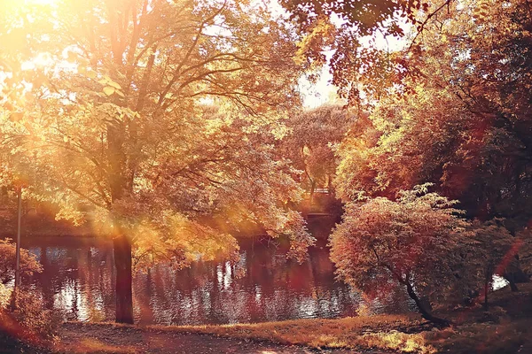 Beautiful Landscape Indian Summer Yellow Forest Trees Sun Rays — Stock Photo, Image