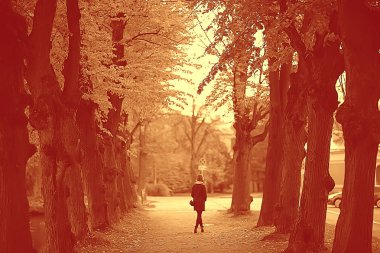 sepya. Peyzaj Sonbahar parkta / siyah beyaz görüntü ağaçlar ve şehir parkı sokakta. Siyah ve beyaz poster, turuncu peyzaj sonbahar yürüyüş pastırma yazı. Sonbaharın sıcak tonları Kasım orman