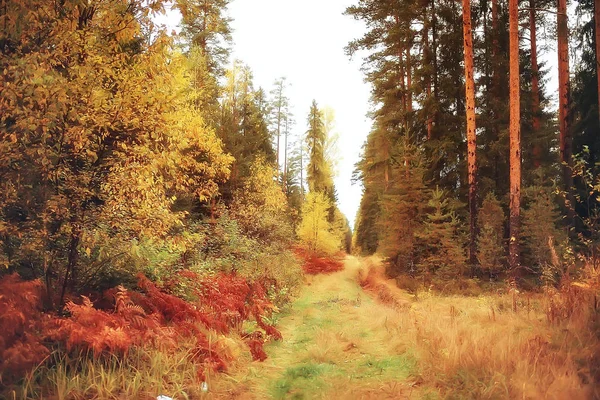 Malebnou Podzimní Lesní Krajina Slunečný Den Babí Léto — Stock fotografie