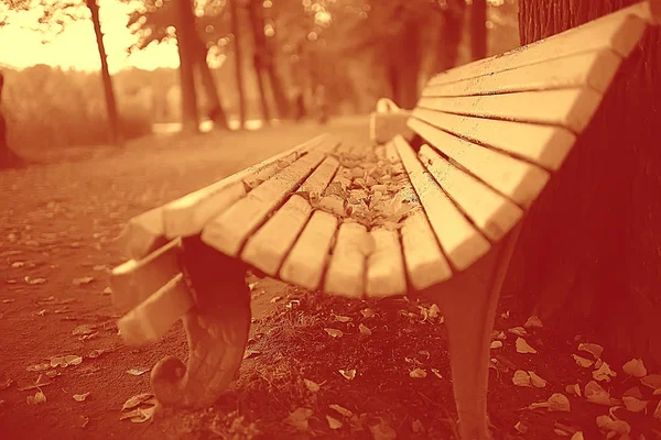 秋の公園で風景ベンチ 月秋背景黄色公園内風景 — ストック写真