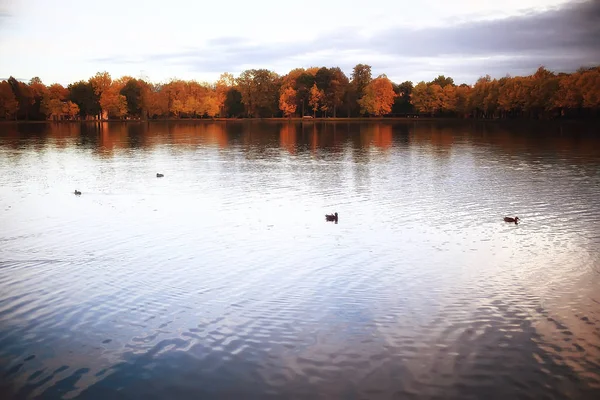 Paysage Automne Incroyable Avec Des Arbres Jaunes Lac Dans Parc — Photo