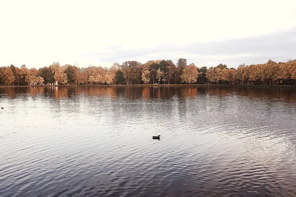 Increíble Paisaje Otoño Con Árboles Amarillos Lago Parque —  Fotos de Stock