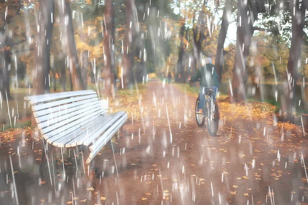 Jesienny Deszcz Tło Ławki Parku Pod Deszczu Jesienią Chodzić Zimnie — Zdjęcie stockowe
