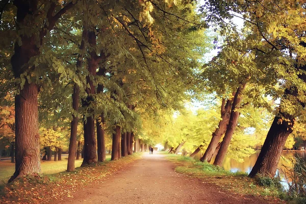 Жовтневий Пейзаж Осінь Парку Жовті Жовті Дерева Алея Осінньому Пейзажі — стокове фото
