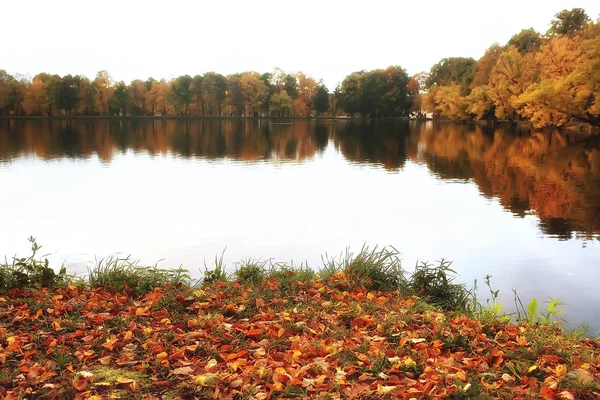 Estanque Parque Paisaje Otoñal Junto Agua Bosque Otoñal Reflejos Árboles — Foto de Stock