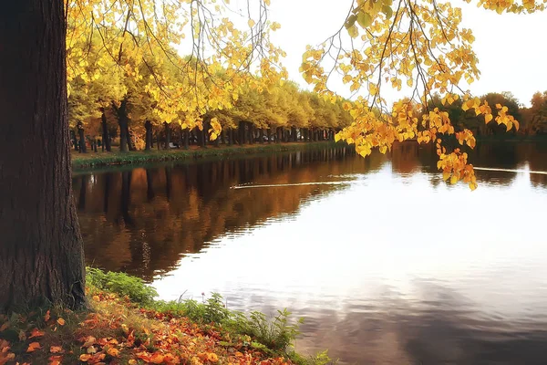 公园里有黄色树木和湖泊的令人惊叹的秋天景色 — 图库照片