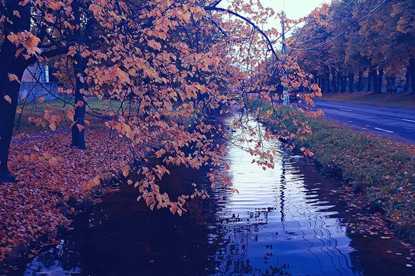 Пруд Осеннем Парке Пейзаже Воды Осеннем Лесу Отражения Осенних Деревьев — стоковое фото