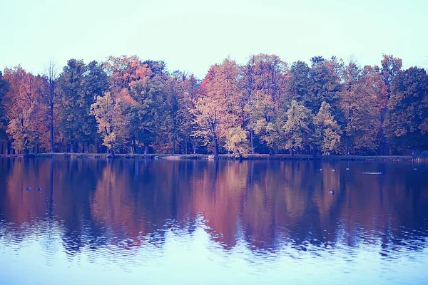 Pond Autumn Park Landscape Water Autumn Forest Reflections Autumn Trees — Stock Photo, Image