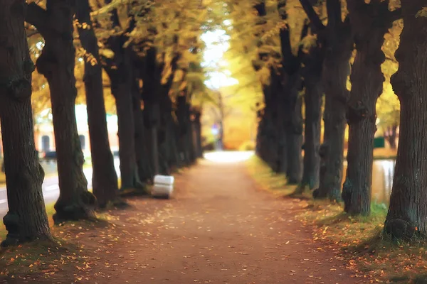 Październik Pejzaż Jesień Parku Żółty Października Drzew Aleja Jesień Krajobraz — Zdjęcie stockowe
