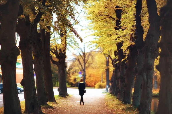 Oktober Landskap Hösten Parken Gult Oktober Träd Gränd Höst Landskapet — Stockfoto