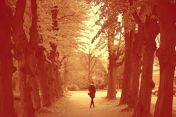 セピア色 秋の公園での風景 モノクロ木と都市公園で路地のイメージ 黒と白のポスター オレンジの風景秋散歩インド夏 秋の森 月の温かみのある色調 — ストック写真