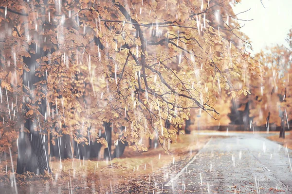 autumn park, rainy background / autumn landscape background rain texture in an October park, walk in bad weather, drops of water, windy weather, bad weather, sad mood