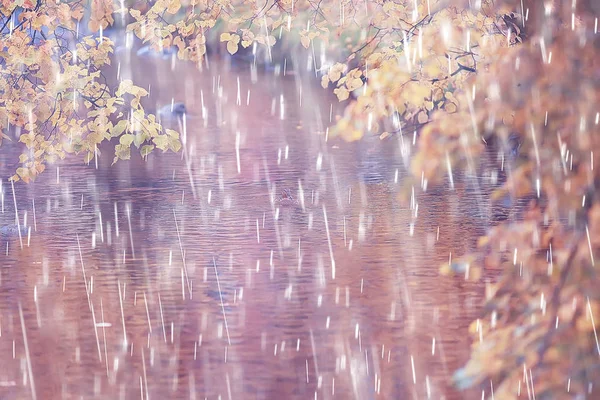 Herfst Park Regenachtige Achtergrond Herfst Landschap Achtergrond Regen Textuur Een — Stockfoto