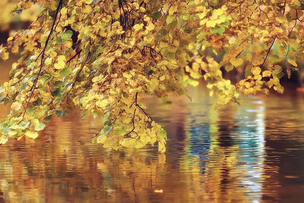 Otoño Alemania Parque Ciudad Europa Alemania Paisaje Otoñal — Foto de Stock